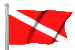 flag_dvr.gif (8366 byte)