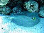 104-0488_IMG.JPG